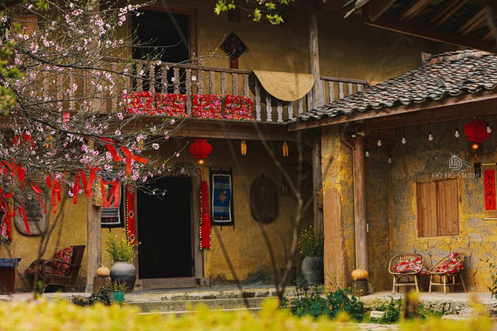 अभी भी है Hà Giang में त्योहारों का मौसम — वसंत, फूलों का मौसम... सबसे खूबसूरत मौसम। - ảnh 2