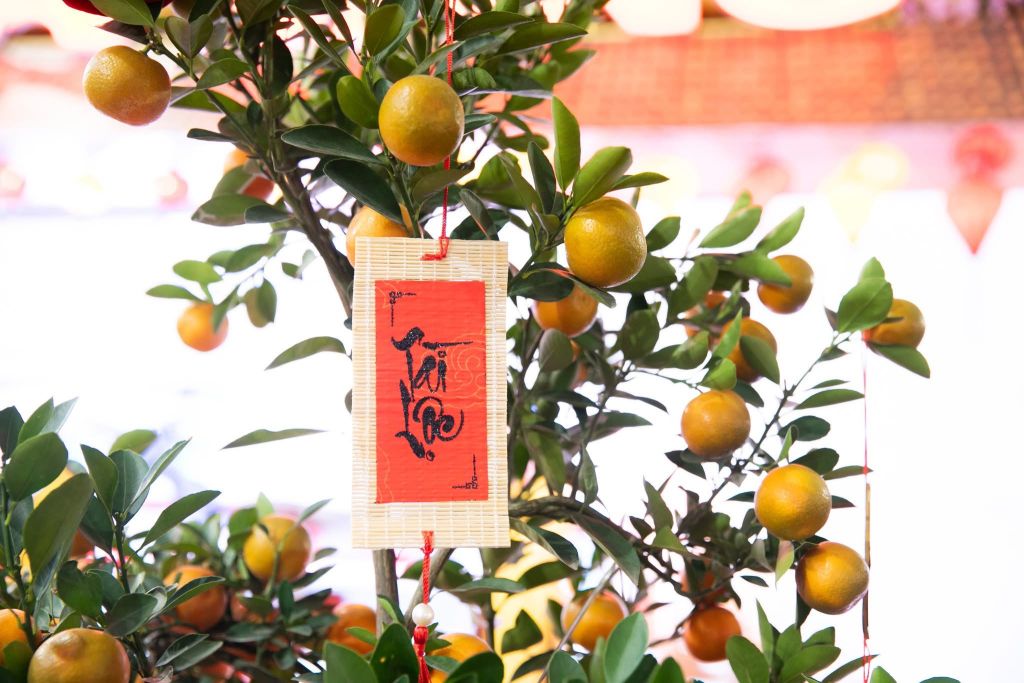 Travel to Da Nang at the Spring Fair 2026 🌸 From February 2 to 13 - 5