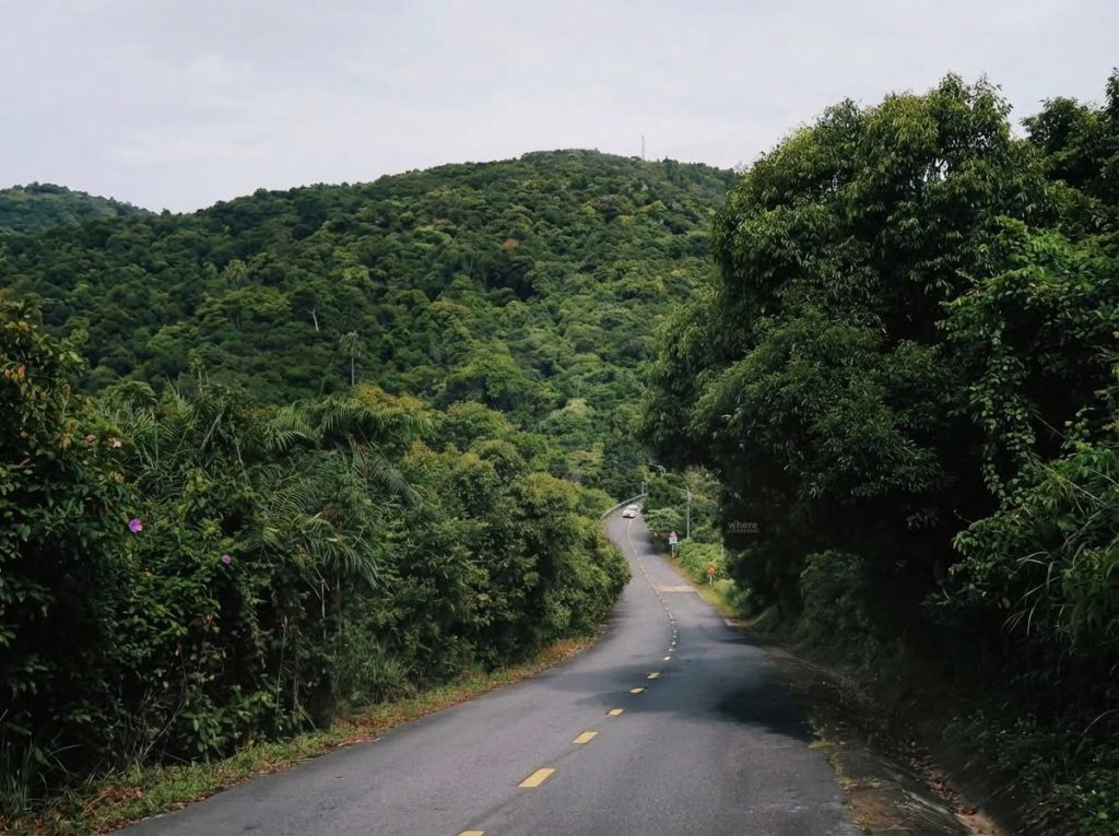Mê mẩn trước cung trekking tuyệt đẹp tại Sơn Trà, Đà Nẵng