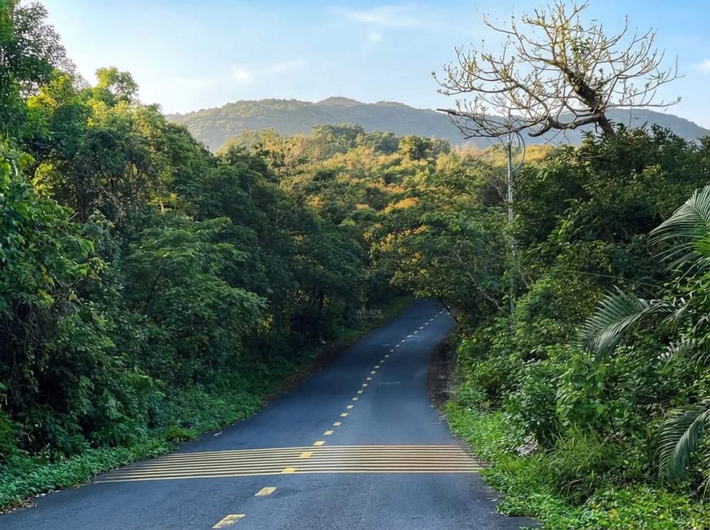 Enchanted by the stunning trekking trails in Son Tra, Da Nang. - 4