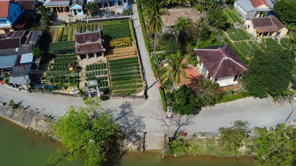 La aldea de Tết Bá Hồ que visitó ahora también ha celebrado el Tết con un ambiente festivo. - 3