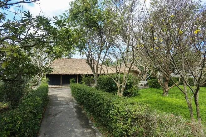 La aldea de Tết Bá Hồ que visitó ahora también ha celebrado el Tết con un ambiente festivo. - 4