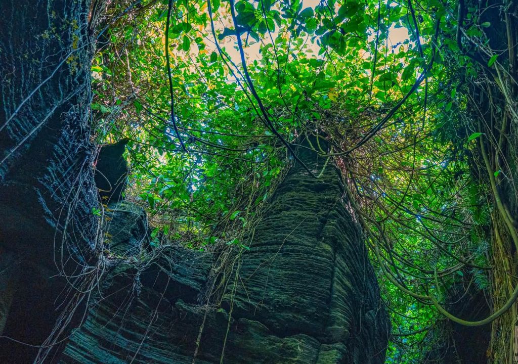 Amazed and bewildered by the beauty of the stone cave complex. - 4