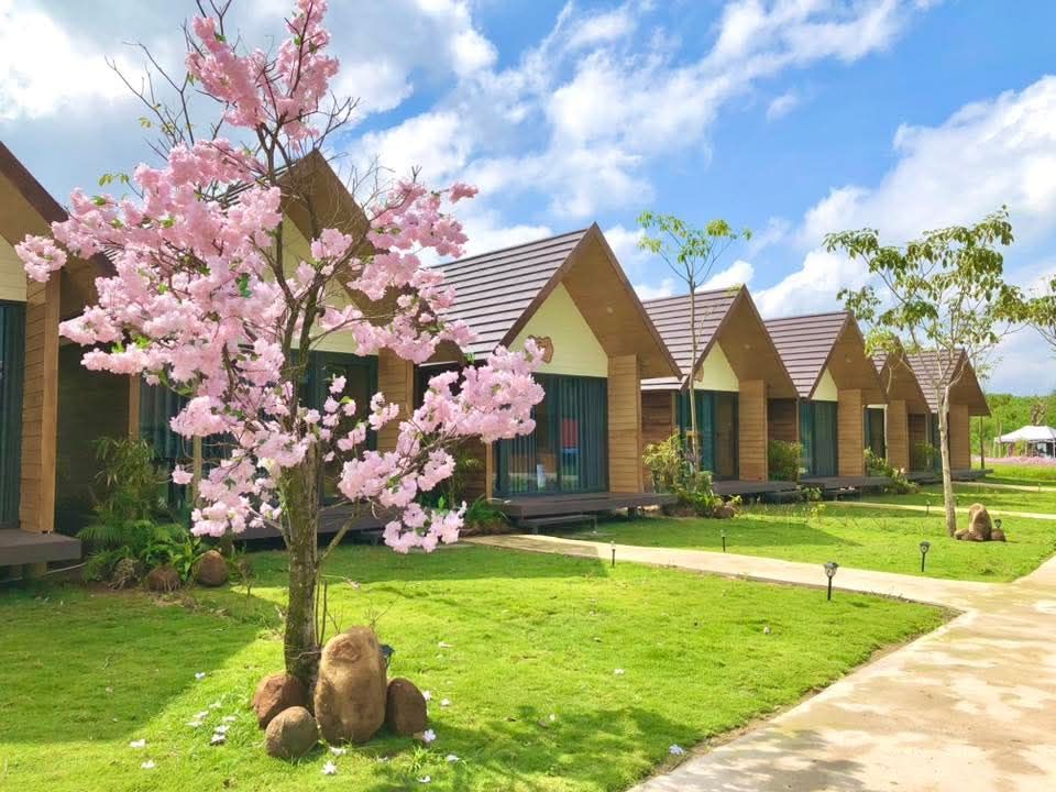 Book a fun and relaxing vacation for a complete Tet celebration at Trung V. - 2