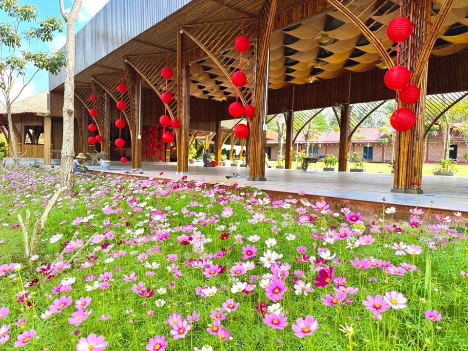 Book a fun and relaxing vacation for a complete Tet celebration at Trung V. - 4