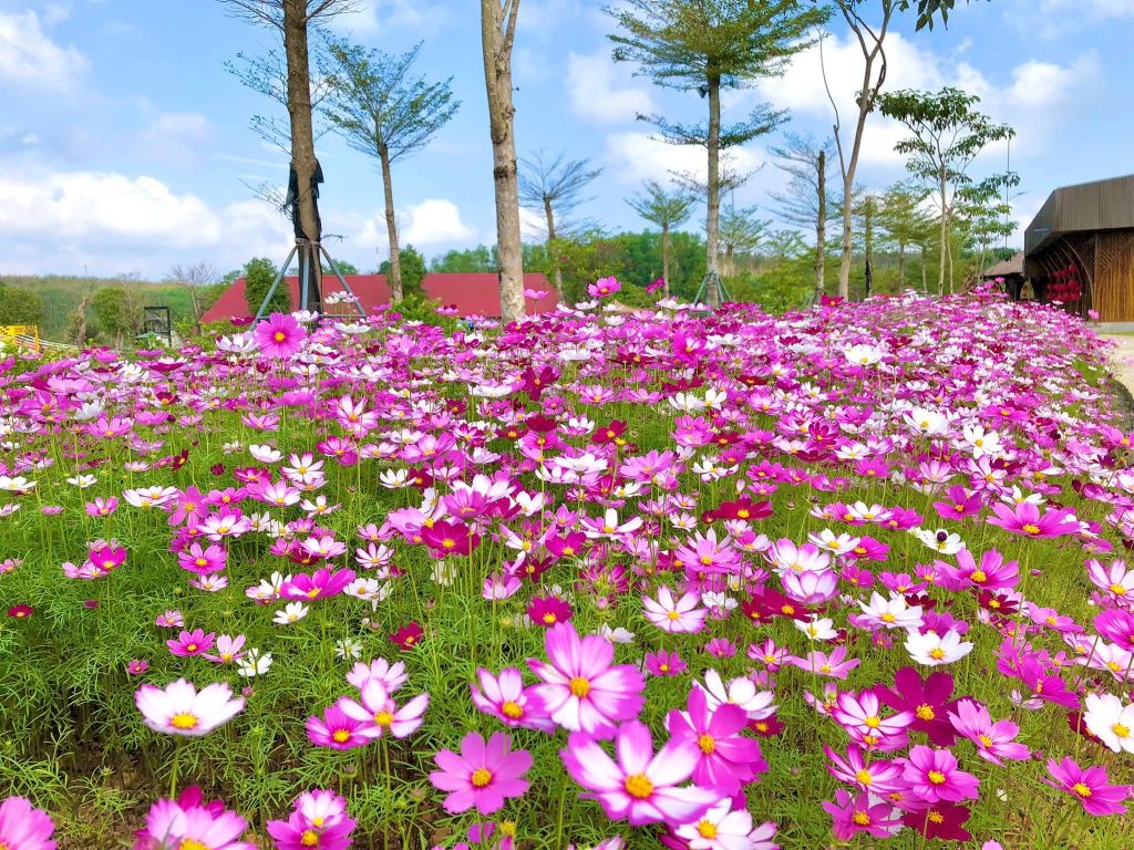 중앙 V에서 완벽한 설 연휴를 위한 놀이 및 휴식 공간 예약하기 - 9
