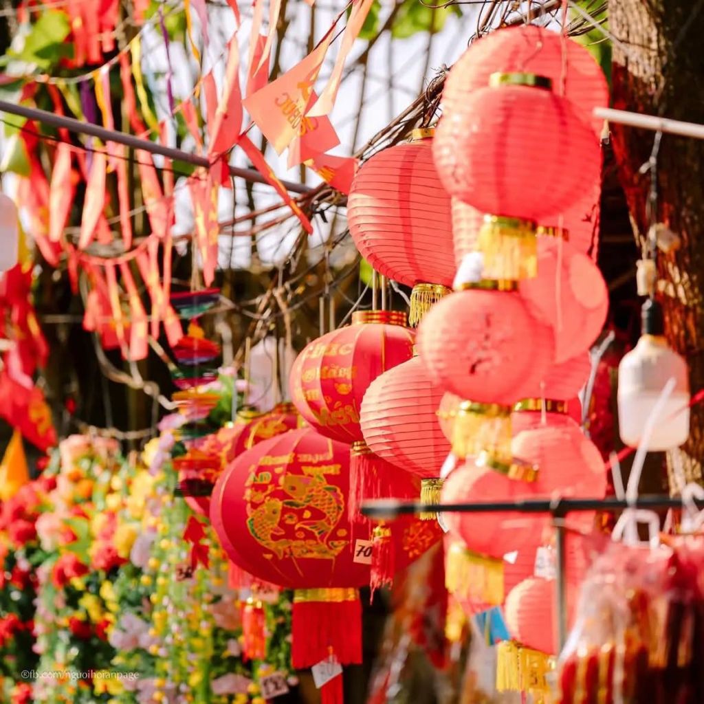 호이안 설이 다가오고 있어요 🥰📸 호이안 사람들 - 5