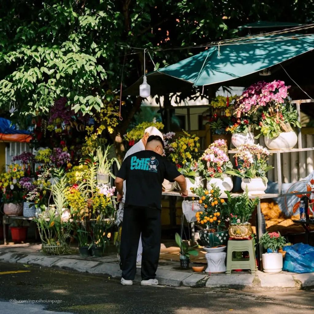 호이안 설이 다가오고 있어요 🥰📸 호이안 사람들 - 7