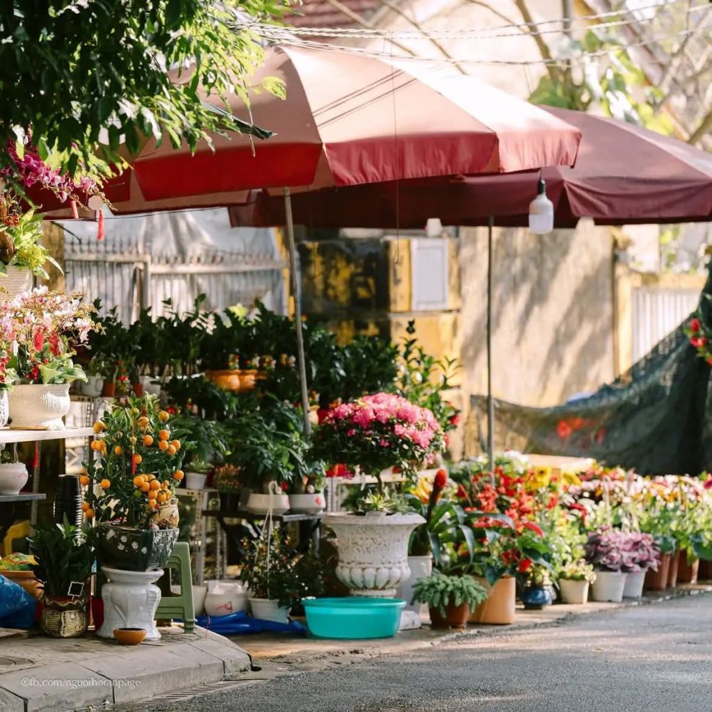 호이안 설이 다가오고 있어요 🥰📸 호이안 사람들 - 8
