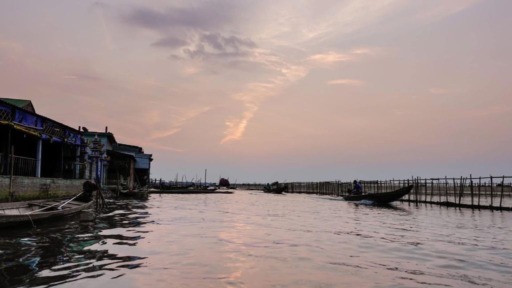 在晨光中宁静的朱红色沼泽❤️ - 5