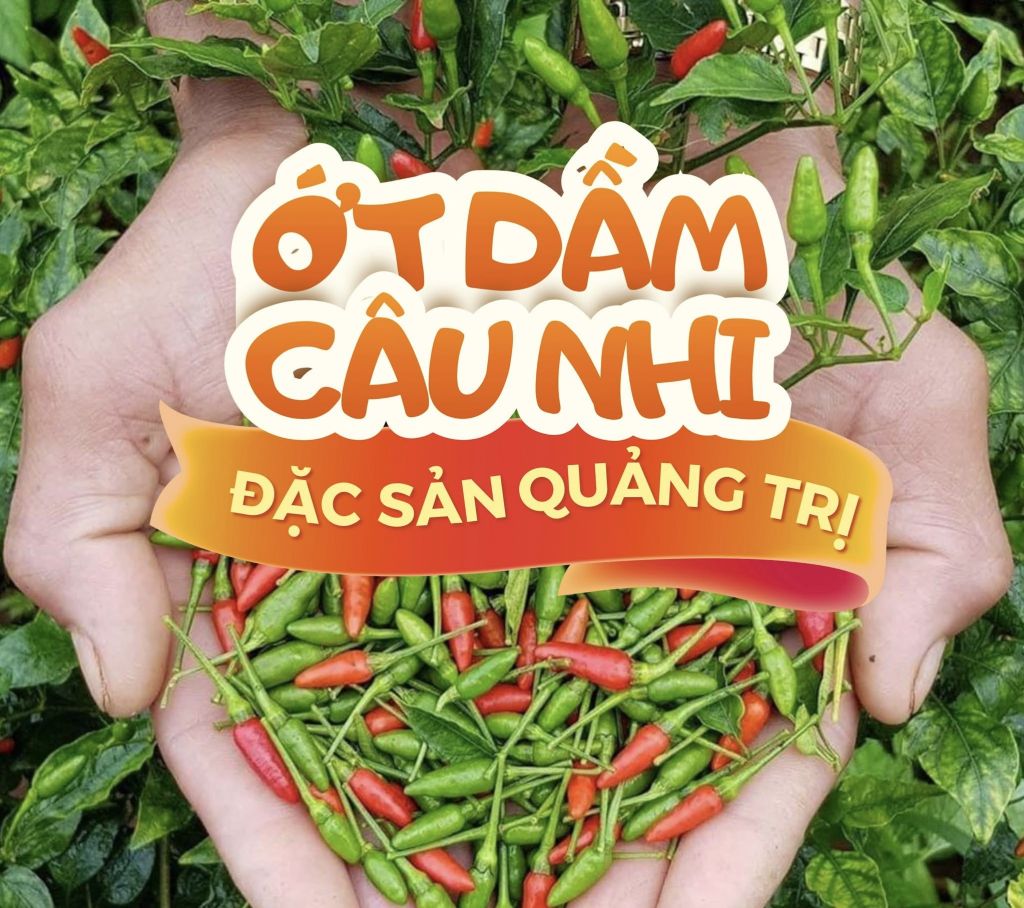 🌶️ỚT DẦM CÂU NHI – HƯƠNG VỊ CAY NỒNG ĐẤT QUẢNG TRỊỞ Quảng T