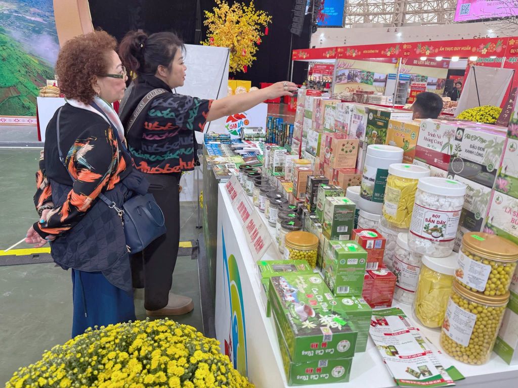 Spring Fair at the National Exhibition Center (Dong Anh, - 2