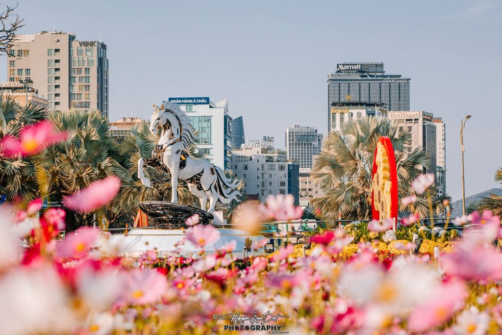 The festive atmosphere of Tet has arrived throughout the streets of Da Nang, welcoming the new year. - 3