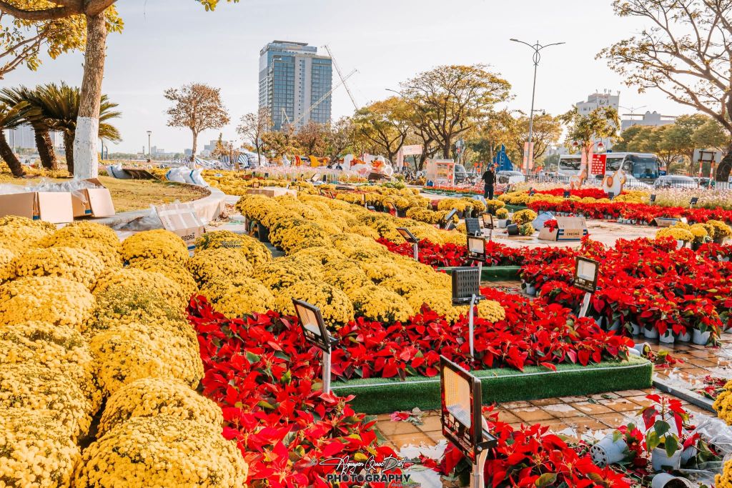 त्योहार का माहौल डा Nang में हर गली और मोहल्ले में आ चुका है, नए साल का स्वागत करने के लिए। - 5