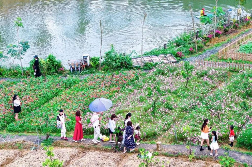 A spring travel destination in Da Nang that not everyone knows about. - 3