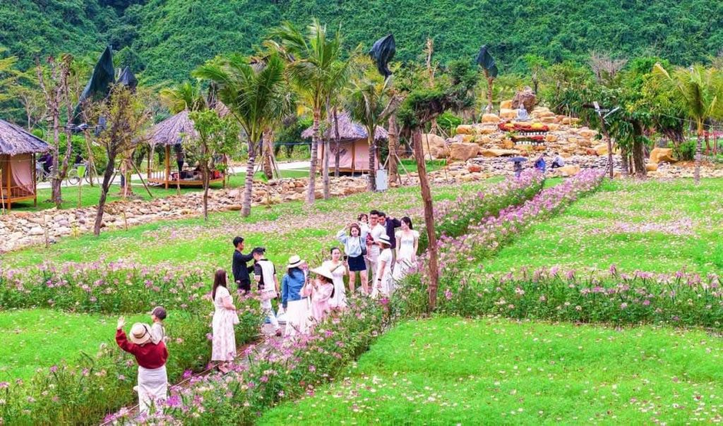 A spring travel destination in Da Nang that not everyone knows about. - 4