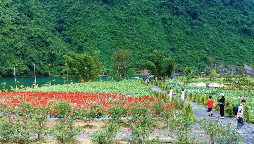 다낭에서 봄 여행을 할 수 있는 장소는 누구나 아는 곳은 아닙니다. - 5