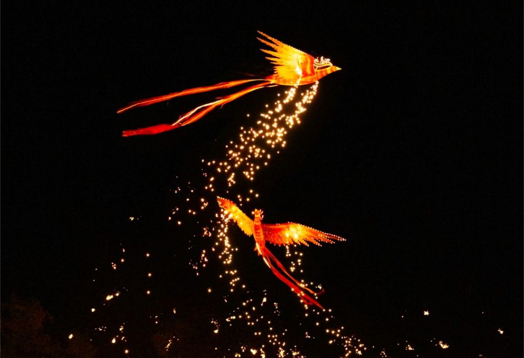 Officially Opening the Light & Heritage Festival with a performance - 3