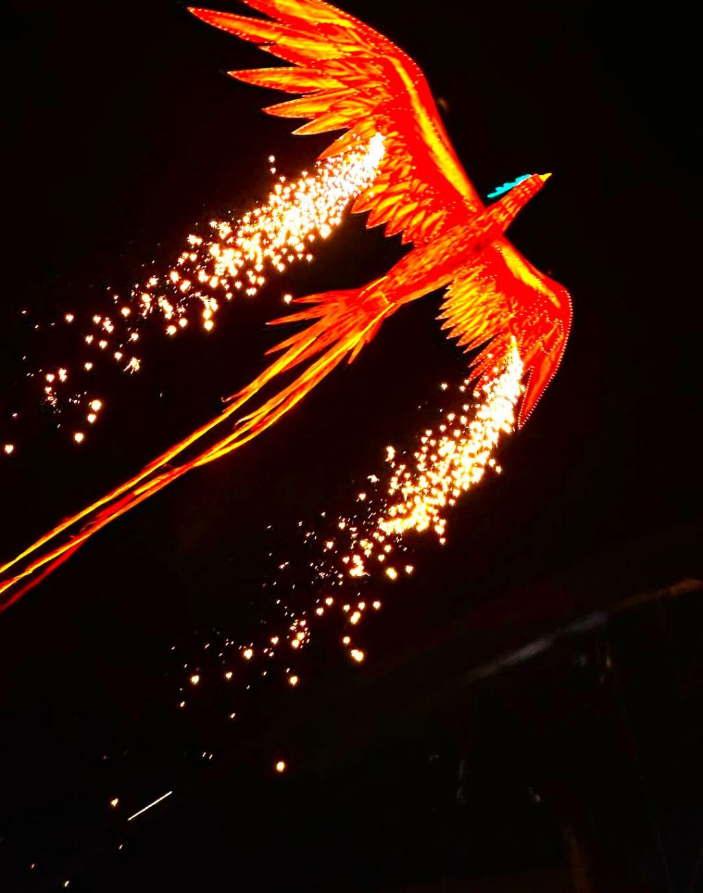 आधिकारिक रूप से 
रोशनी और विरासत महोत्सव का उद्घाटन समारोह आयोजित किया गया। - 5