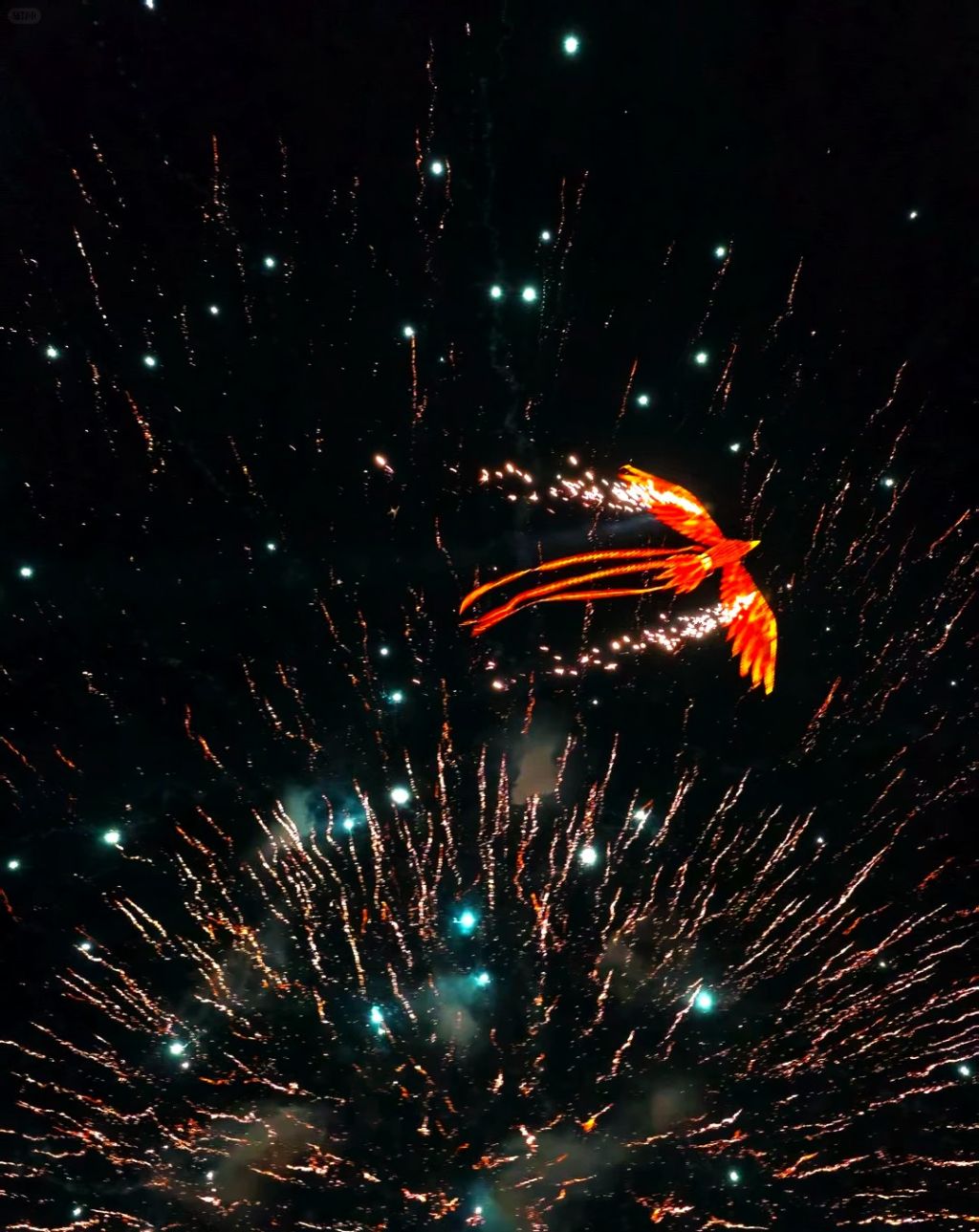 आधिकारिक रूप से 
रोशनी और विरासत महोत्सव का उद्घाटन समारोह आयोजित किया गया। - 8