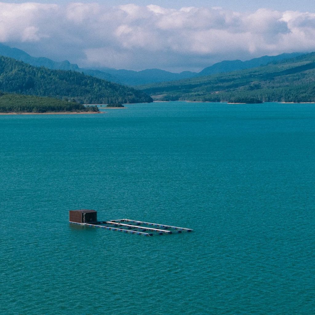 👉 KHE SANH IS BEAUTIFUL – A VERY DIFFERENT BEAUTY IN THE GREEN AGE - 3