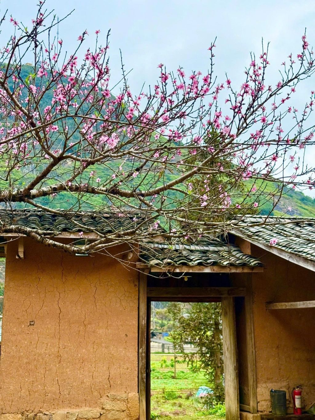 Chúng Pủa Ancient House – Mèo Vạc 🌸 In the majestic mountains of Mèo Vạc - 3