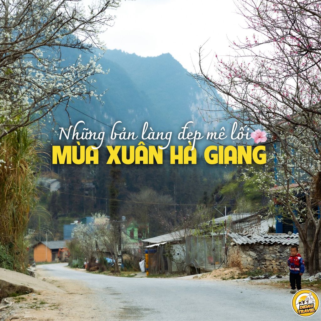 The breathtaking villages in Ha Giang during spring🌸 Ha Giang - 1