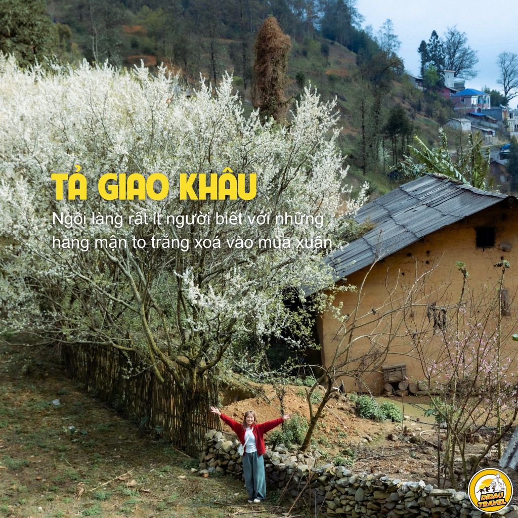 The breathtaking villages in Ha Giang during spring🌸 Ha Giang - 3