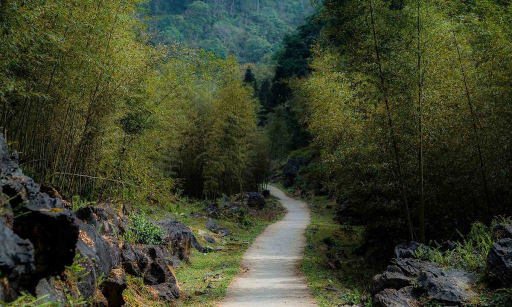 🌫️ Sảo Há Village – A Mysterious Charm in the Ha Giang Stone Plateau - 4
