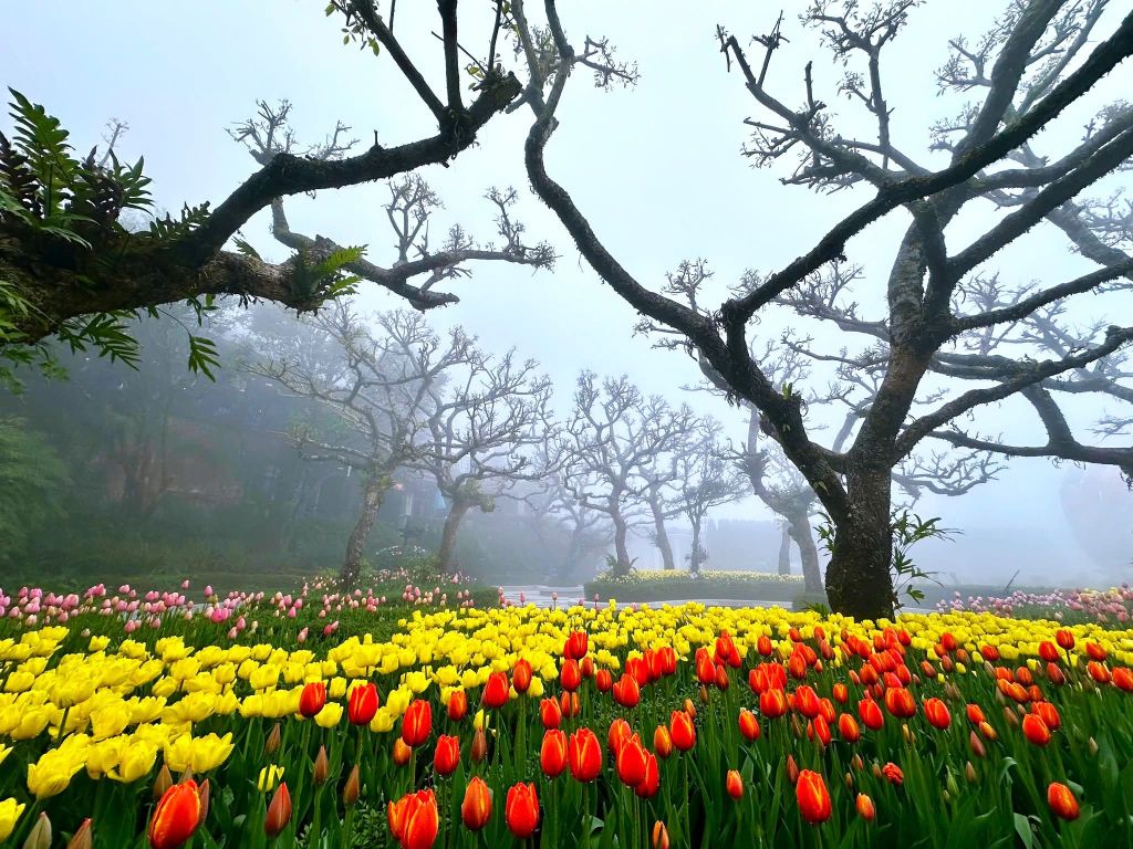 THE BIGGEST DISCOUNT OF THE YEAR EXCLUSIVELY FOR 11 CENTRAL PROVINCES - 2