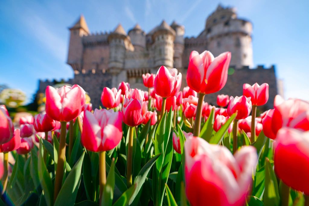 THE BIGGEST DISCOUNT OF THE YEAR EXCLUSIVELY FOR 11 CENTRAL PROVINCES - 7