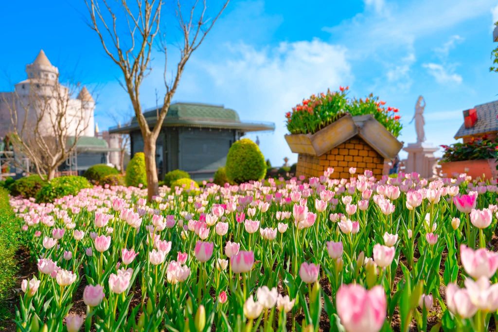 THE BIGGEST DISCOUNT OF THE YEAR EXCLUSIVELY FOR 11 CENTRAL PROVINCES - 8