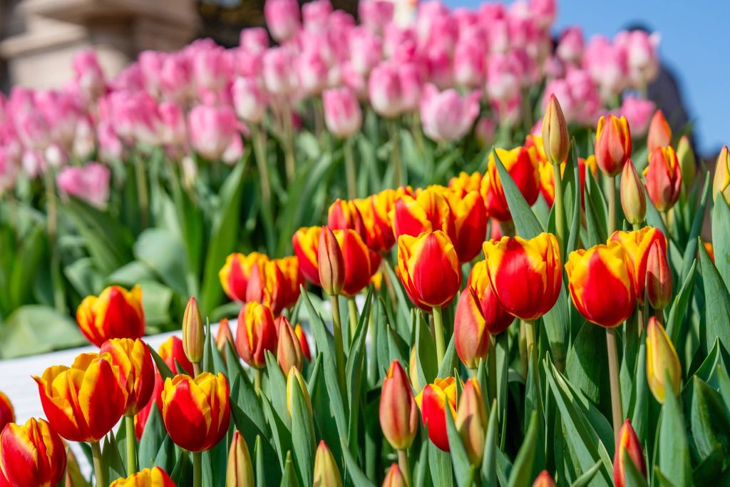 THE BIGGEST DISCOUNT OF THE YEAR EXCLUSIVELY FOR 11 CENTRAL PROVINCES - 9