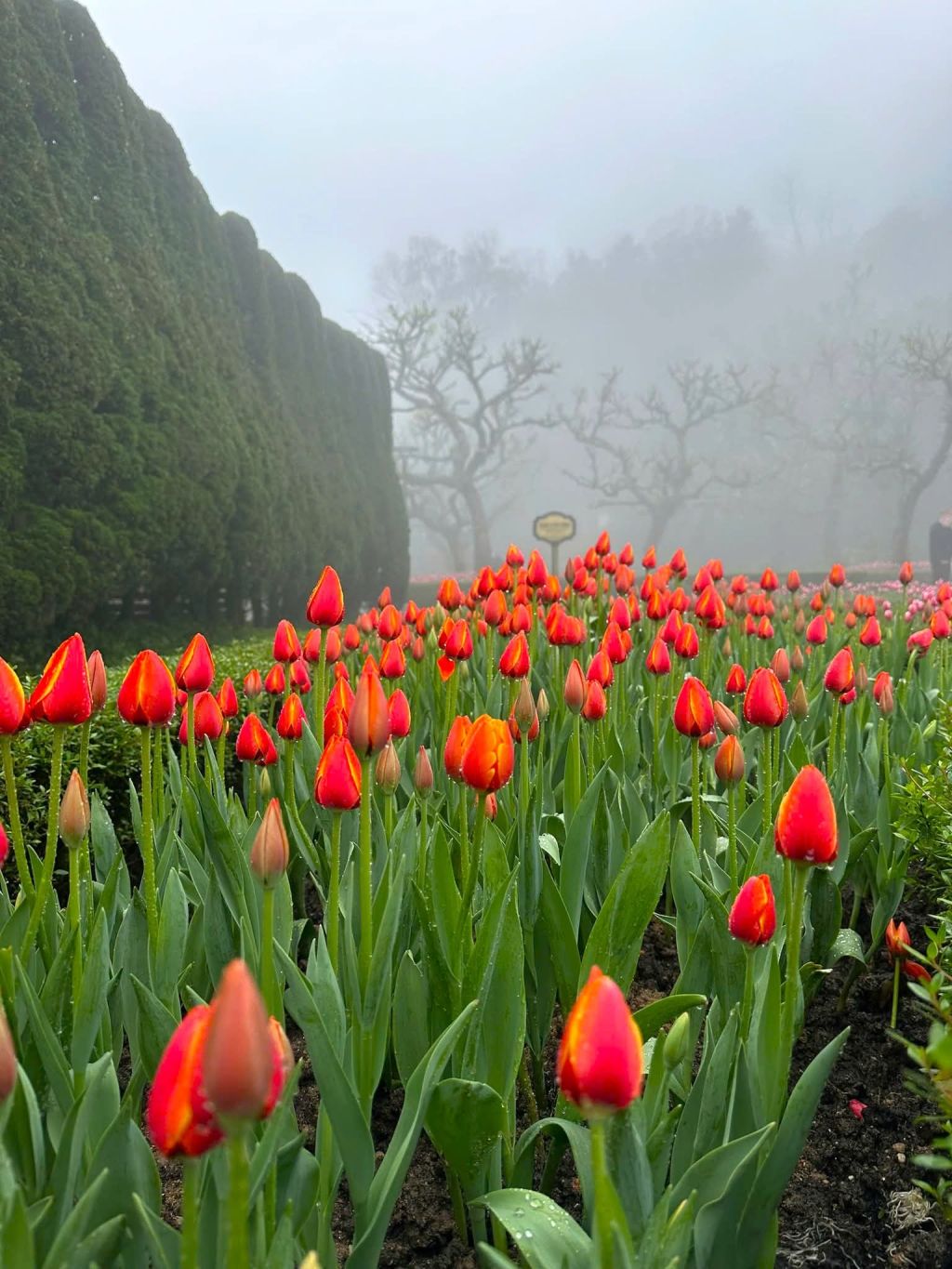 THE BIGGEST DISCOUNT OF THE YEAR EXCLUSIVELY FOR 11 CENTRAL PROVINCES - 10