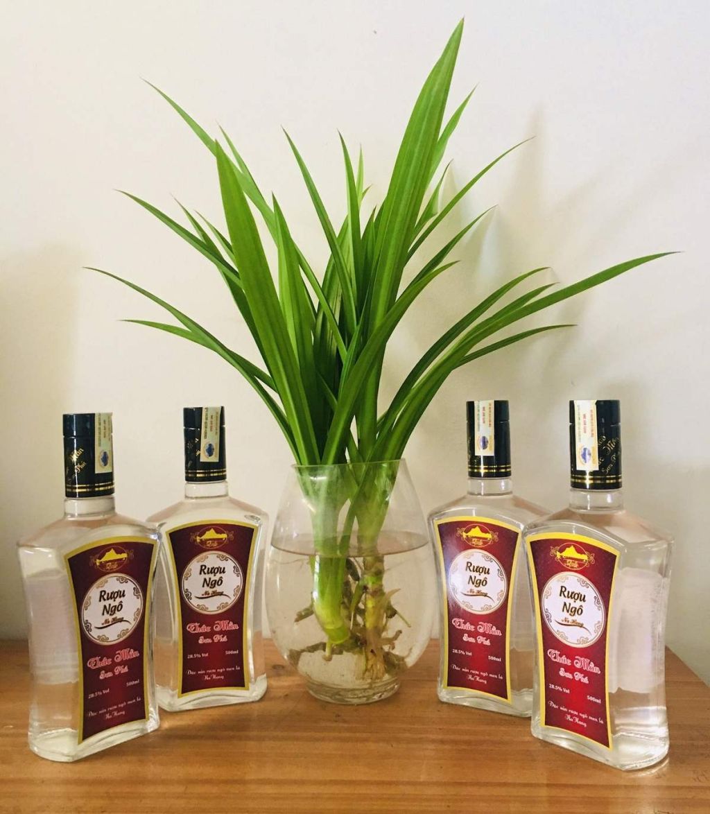 Hà Giang corn wine – A strong brew amidst the rocky highlands. - 1