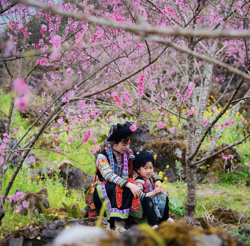 🌸 About Cao Mã Pờ in spring – Lost among the colors of border flowers. - 3