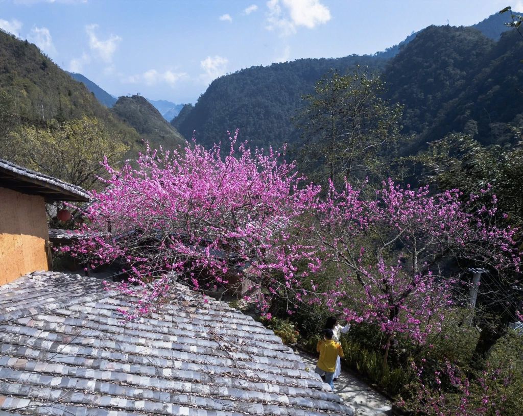 🌸 About Cao Mã Pờ in spring – Lost among the colors of border flowers. - 4