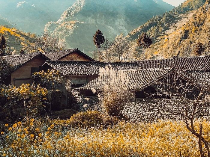Lung Cam Cultural Tourism Village – A Peaceful Floral Tapestry In The Countryside. - 4
