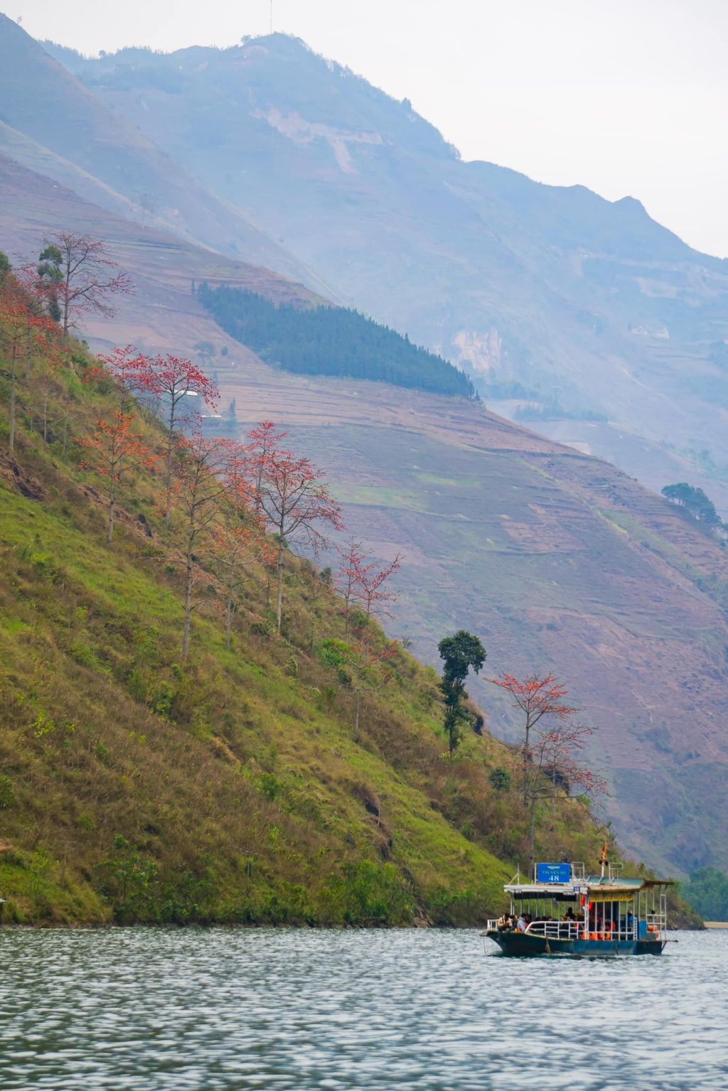 March – The Cotton Flowers Ignite The Fire In The Rocky Highlands Of Dong Van. - 3