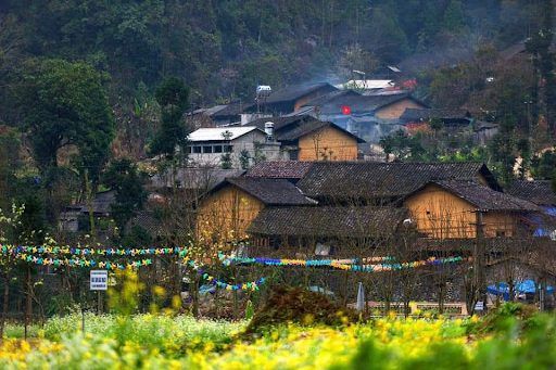 Lung Cam Cultural Tourism Village: A Floral Tapestry In The Sủng Là Valley