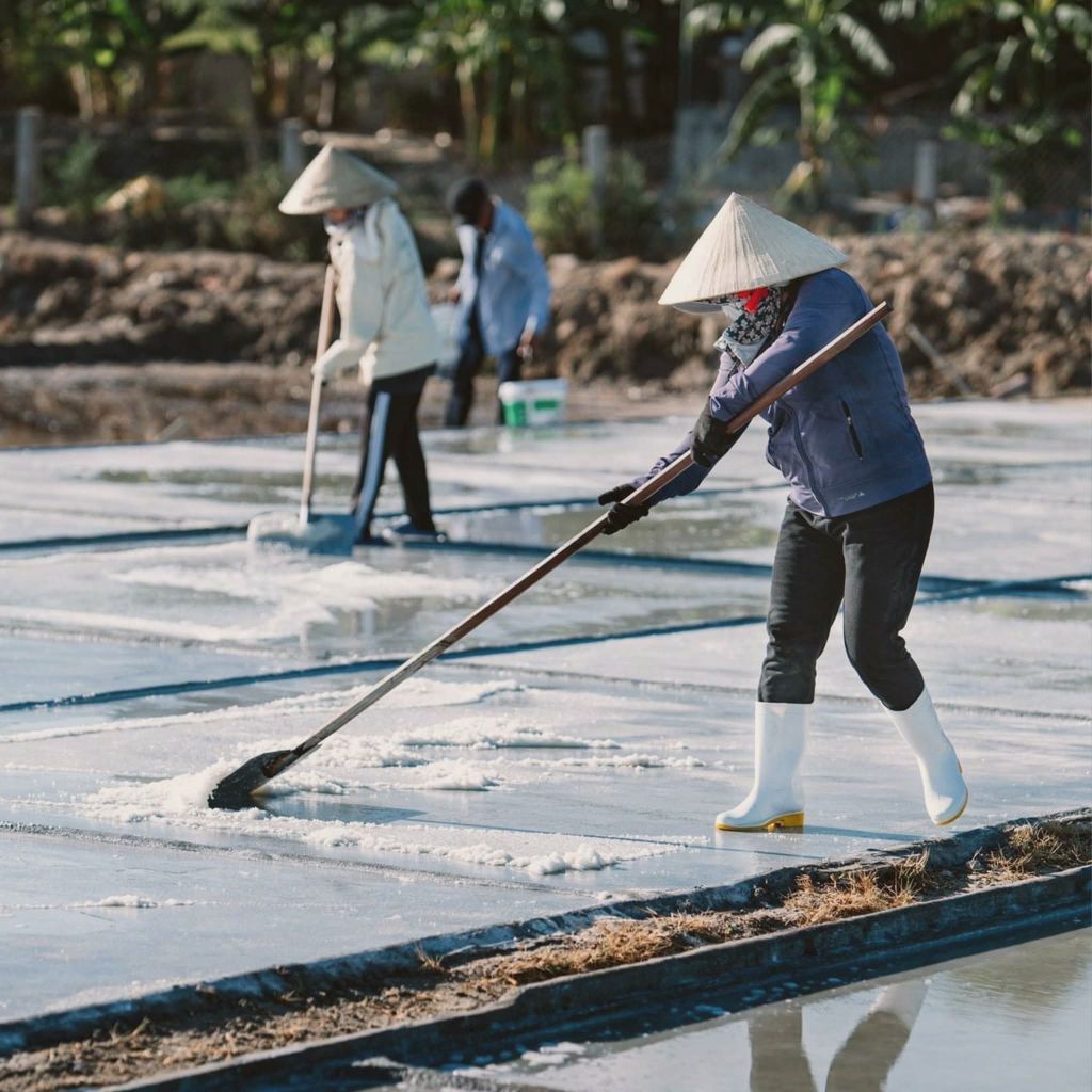 SALT MAKING – THE SALTY TASTE CRYSTALLIZED FROM THE SUN - 2