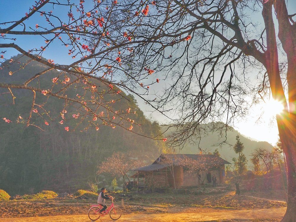 लाओ सा हा गियांग की खोज: सुंग ला घाटी के बीच प्राचीन गांव का सपना। - ảnh 3