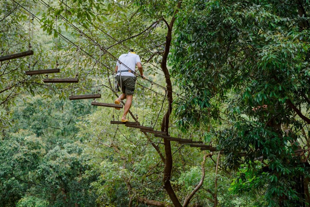 🔥BACK TO THE PARADISE OF TREE GAMES! 🌿 - 4