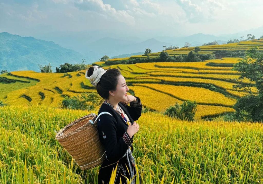 Hồng Thái Terraced Fields – A Green Silk Strip Among the Mountains of Na - 3