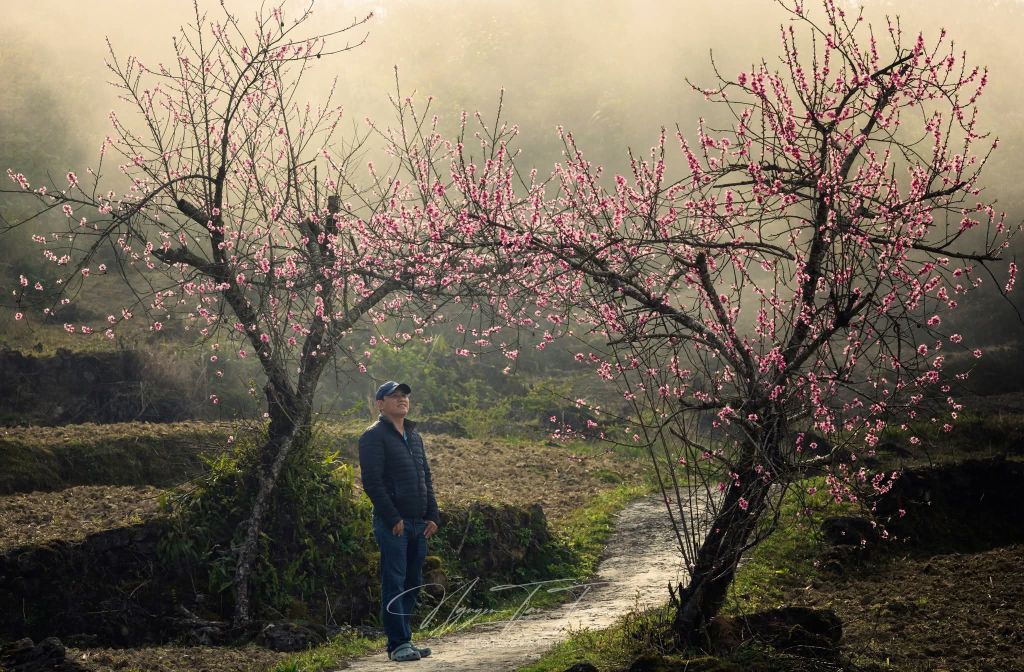 The season of flowers blooming on the rocks of Ha Giang. Photo: Tuan Nguyen - 1