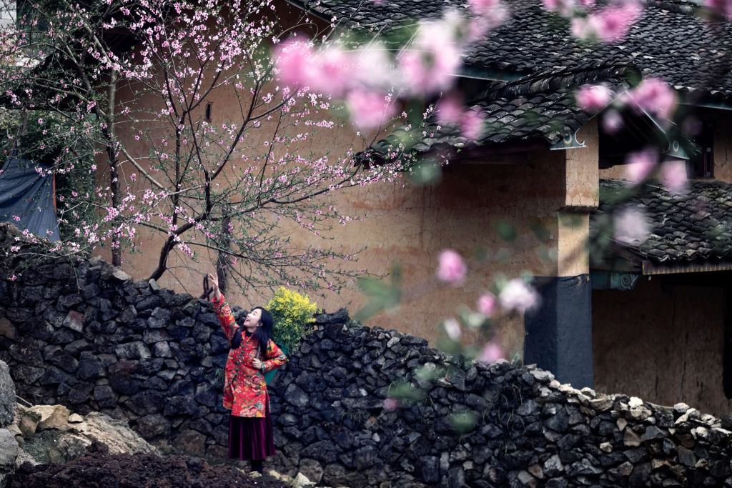 Saison des fleurs sur les rochers de Hà Giang. Photo : Tuấn Nguyễn. - ảnh 7