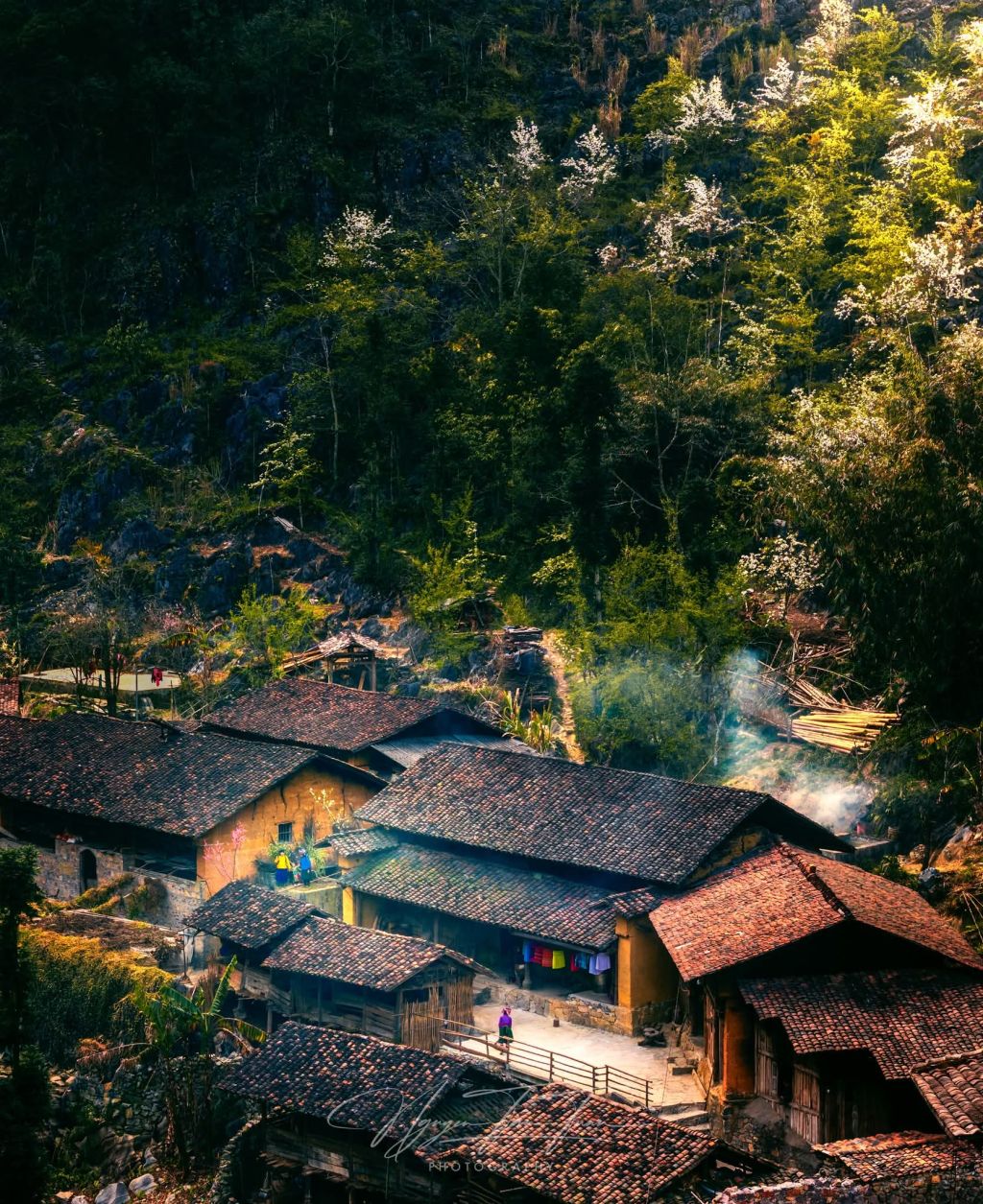 Saison des fleurs sur les rochers de Hà Giang. Photo : Tuấn Nguyễn. - ảnh 15
