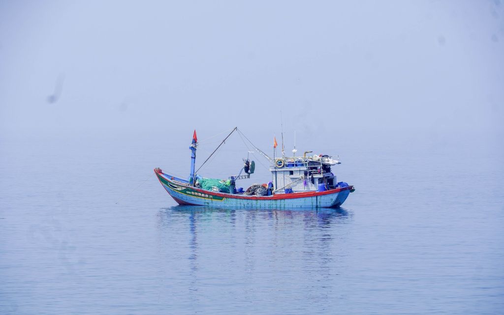 Con Co Island: A Love Song Between the Blue Waves and the Great Forest - 4