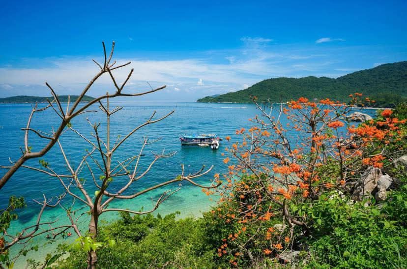 The beauty of Cu Lao Cham 💯💕🏝️🏖️🌤️  
Cre: Huỳnh Hữu Phúc - 2