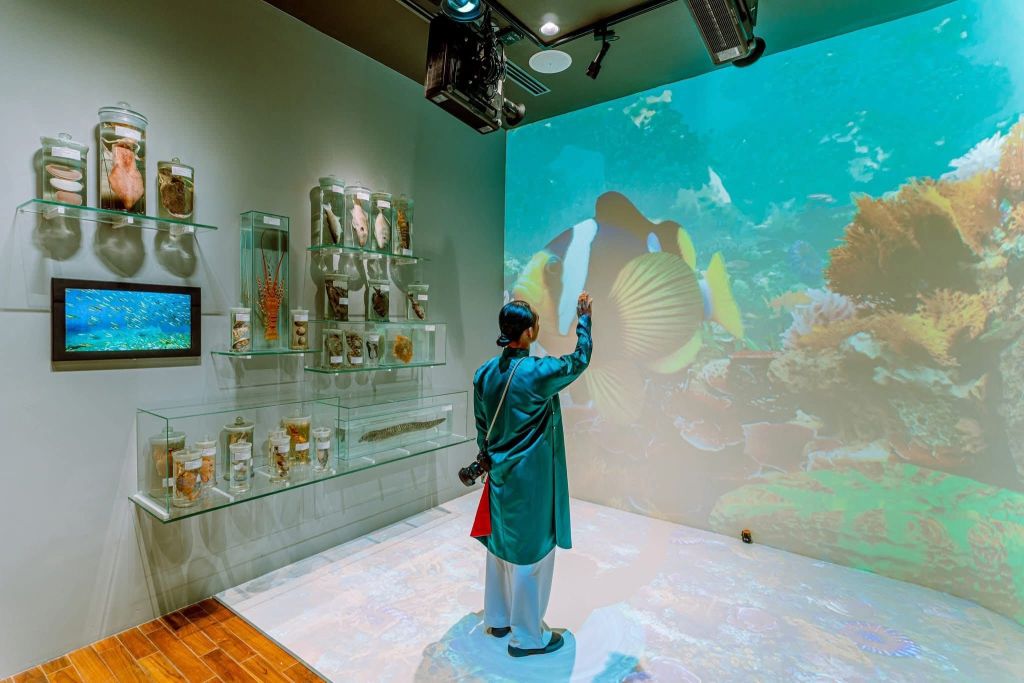 Da Nang Museum offers free admission on March 29. - 4